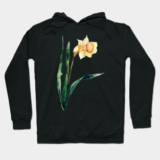 Narcissus Hoodie